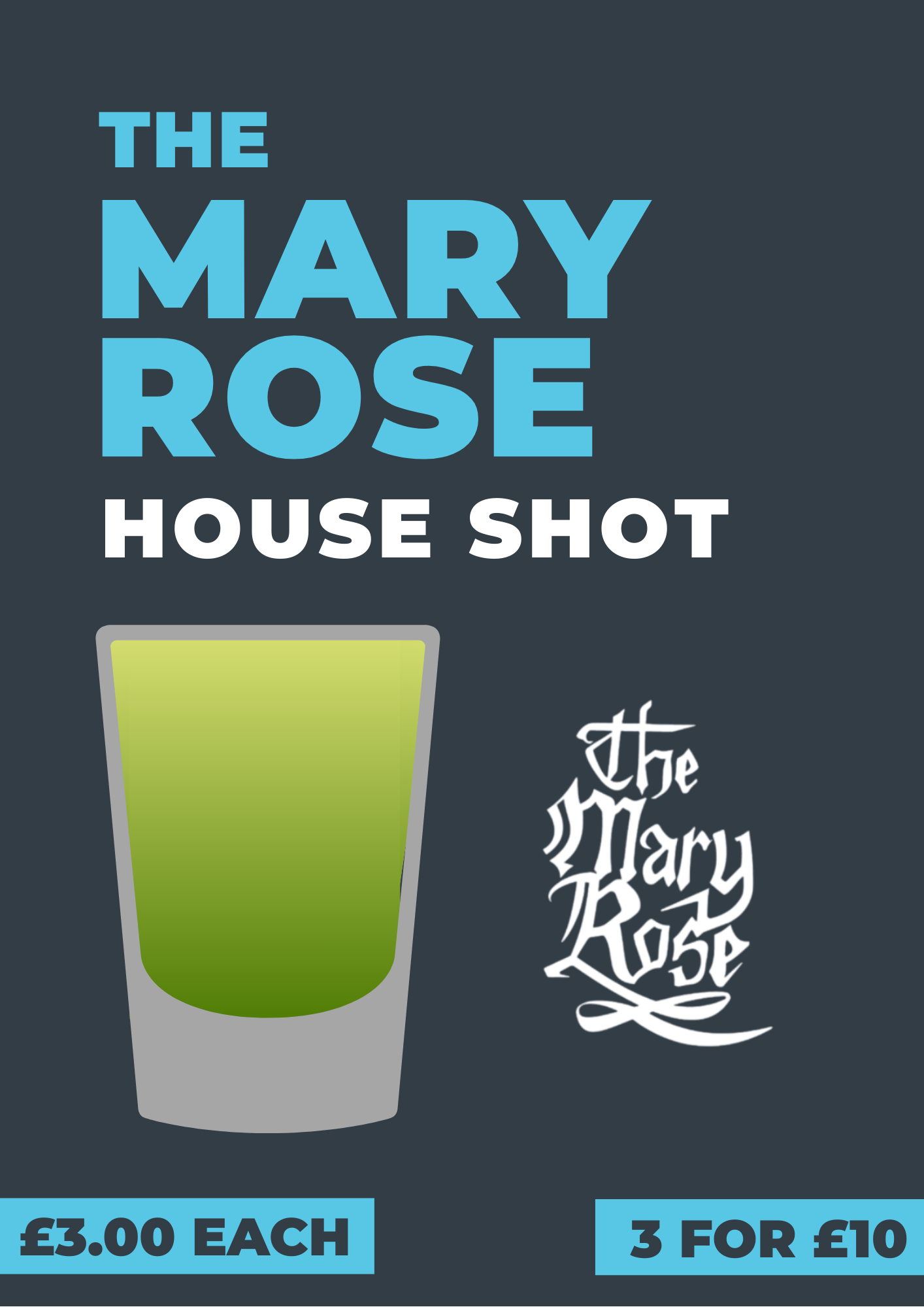 Mary Rose house shot poster
